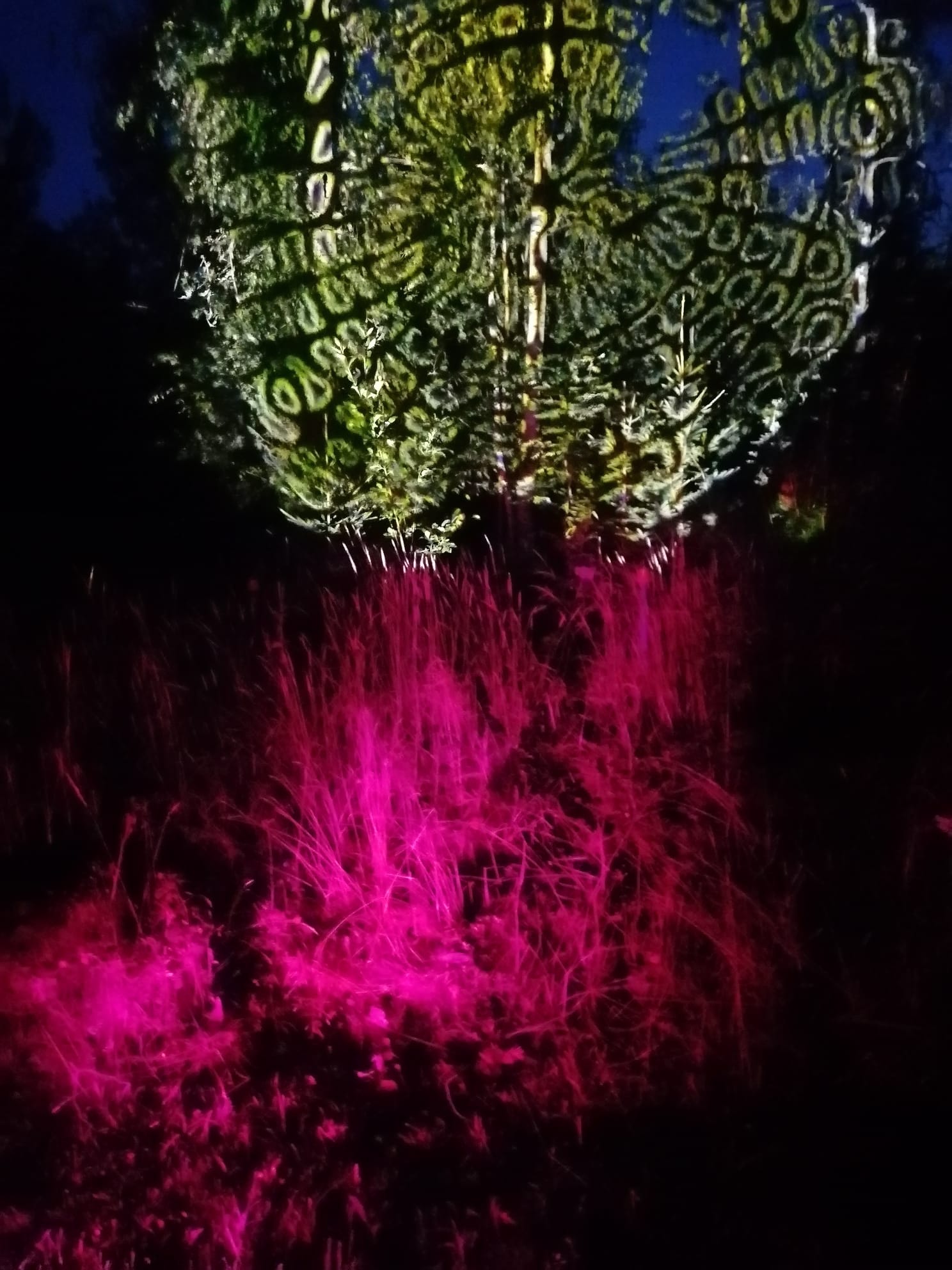 b7dc1f58-9acd-439a-9f60-efb41ccbe3c1