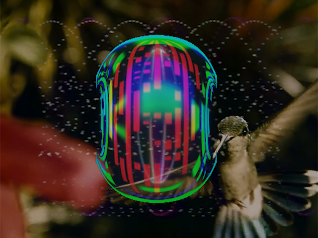 Sequence 25.00_02_36_22.Still002