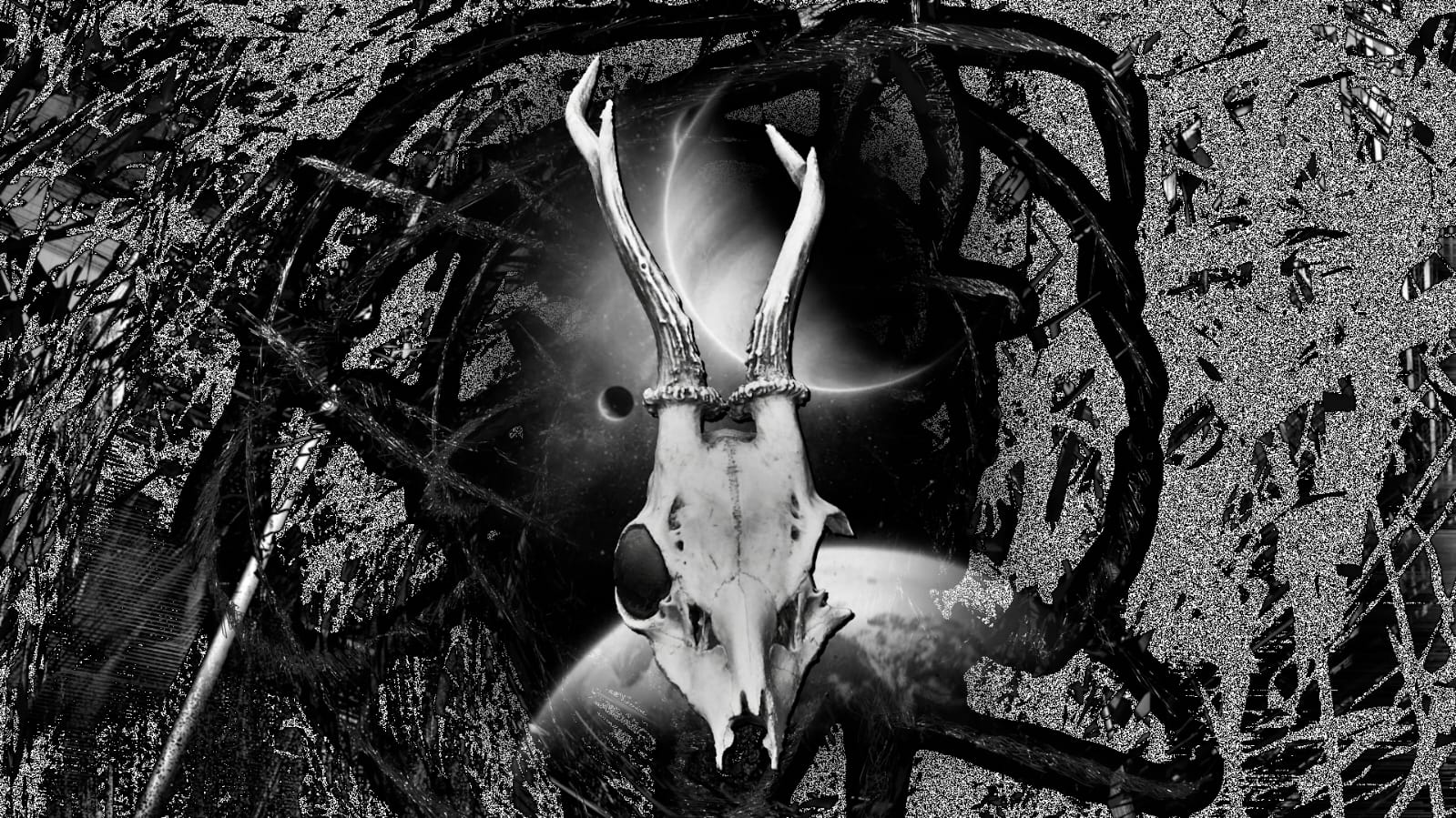 WhatsApp Image 2020-08-01 at 00.40.26